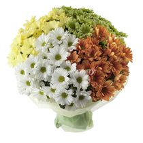 Bouquet of chrysantemums 