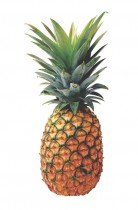 Ripe pineapple with delivery